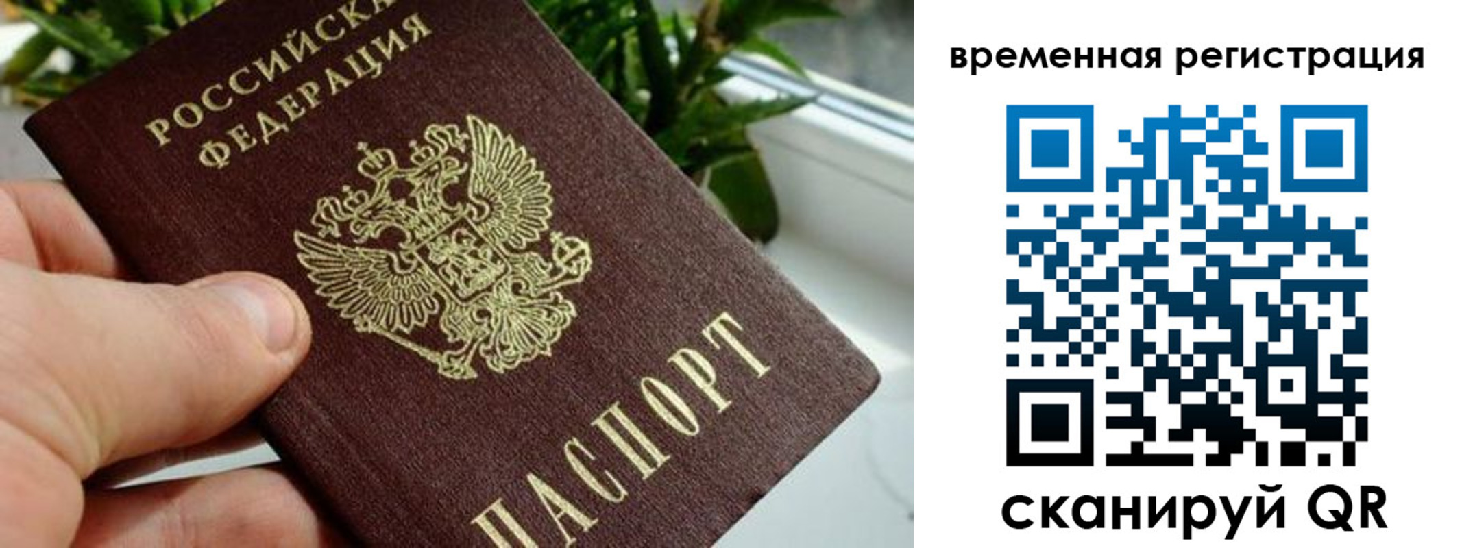 прописка поиск в Алейске